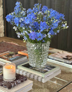 Venice Handblown Vase - Clear